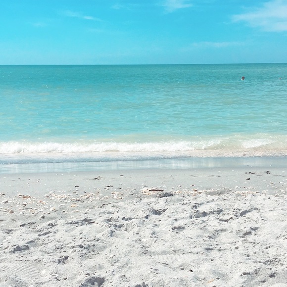 Meet your Posher, Dani - Picture 1 of 1